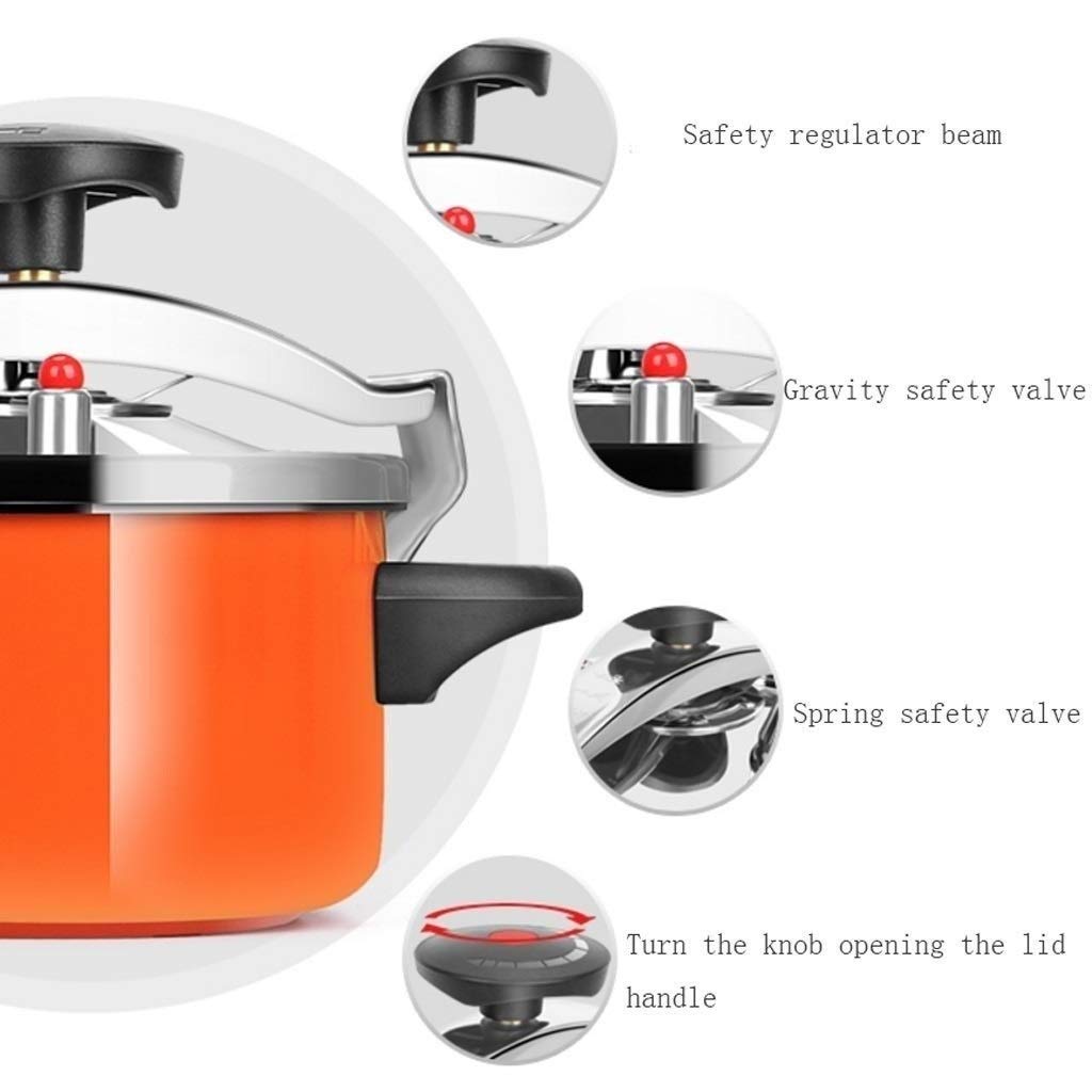 Stainless Steel 2L Pressure Cooker H8017