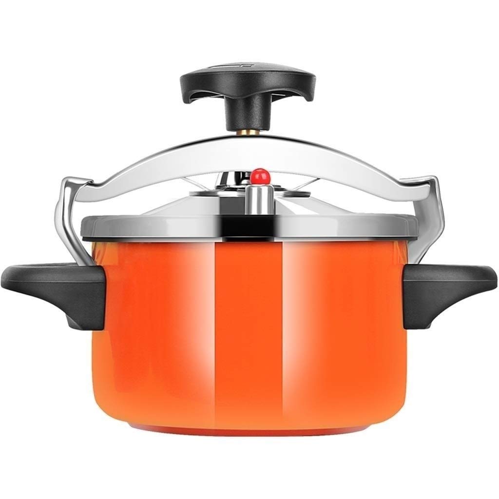Stainless Steel 2L Pressure Cooker H8017