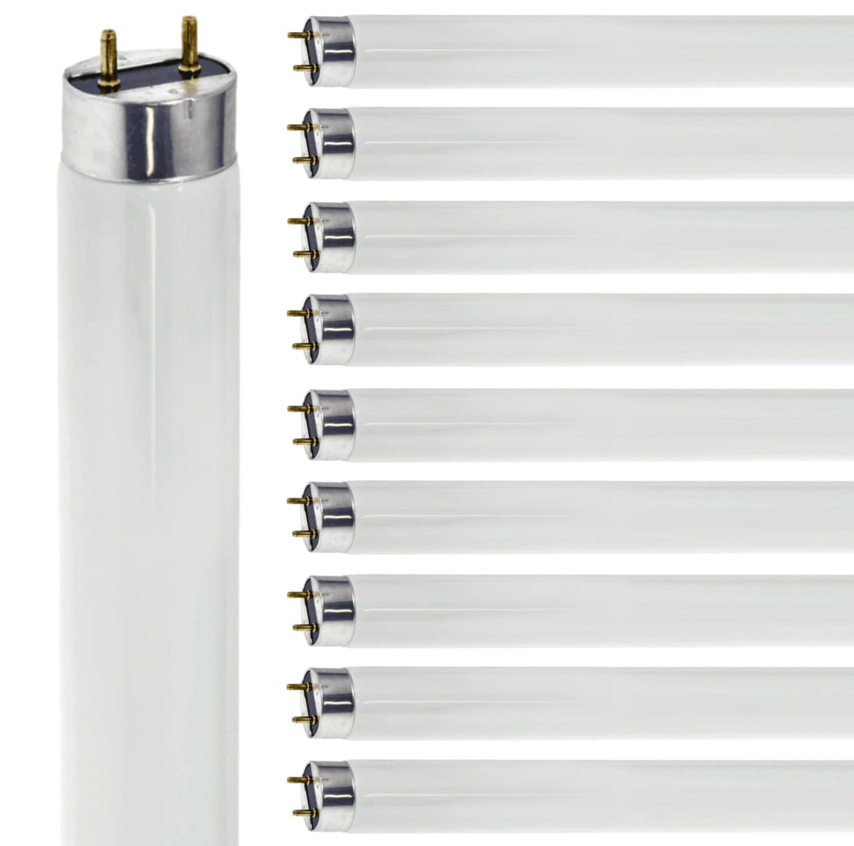 24 Inch T8 Fluorescent Tube Light Bulb 17W 5000K 1230 Lumen G13 Bi-Pin Base Pack of 10 Z17011