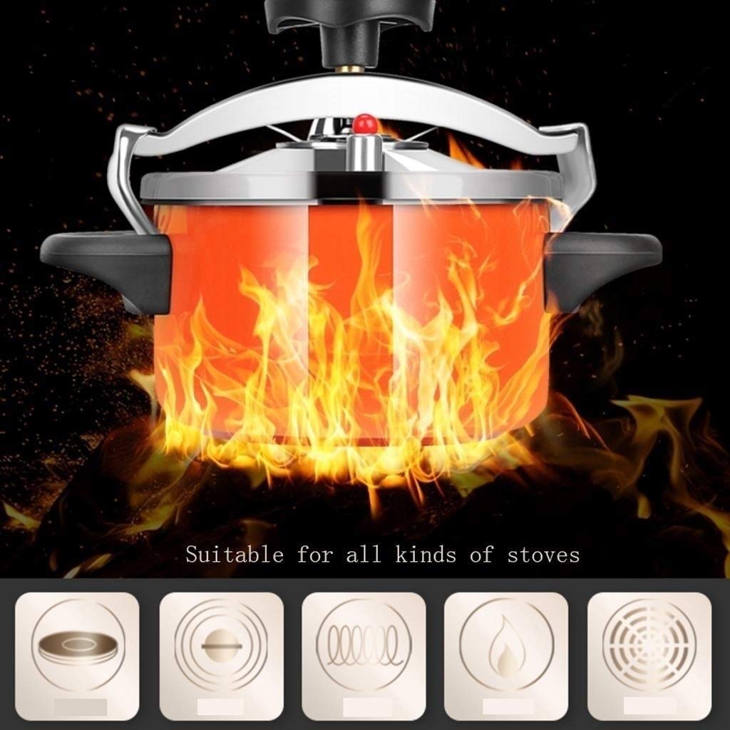 Stainless Steel 2L Pressure Cooker H8017
