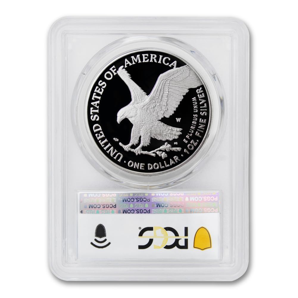 1 oz American Silver Eagle Proof N9939