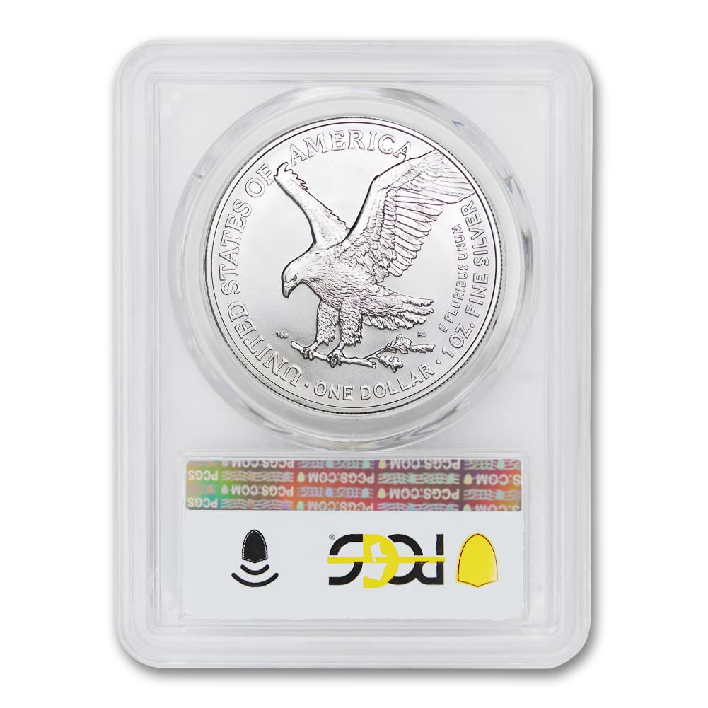 1 oz American Silver Eagle Coin MS-70 C441