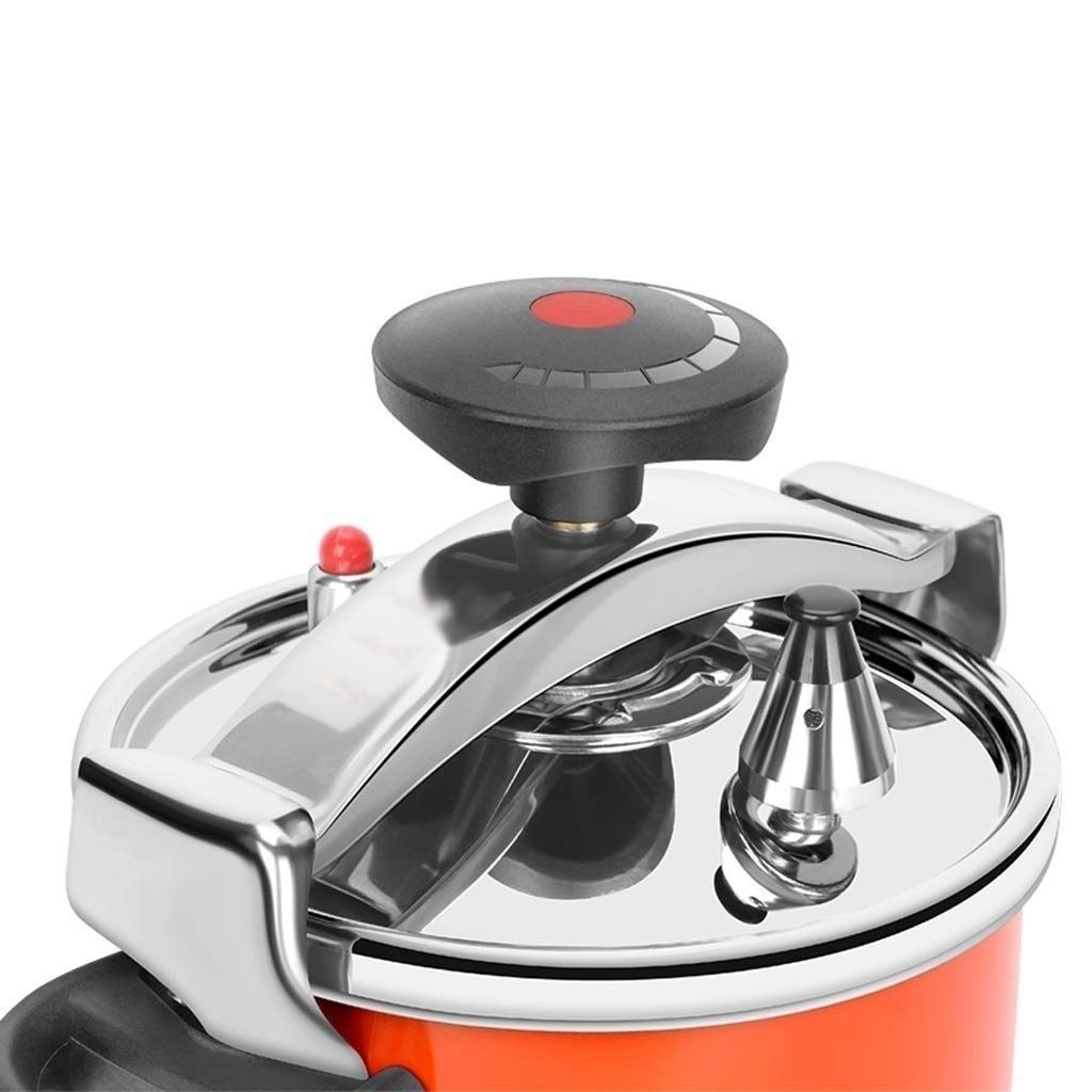 Stainless Steel 2L Pressure Cooker H8017