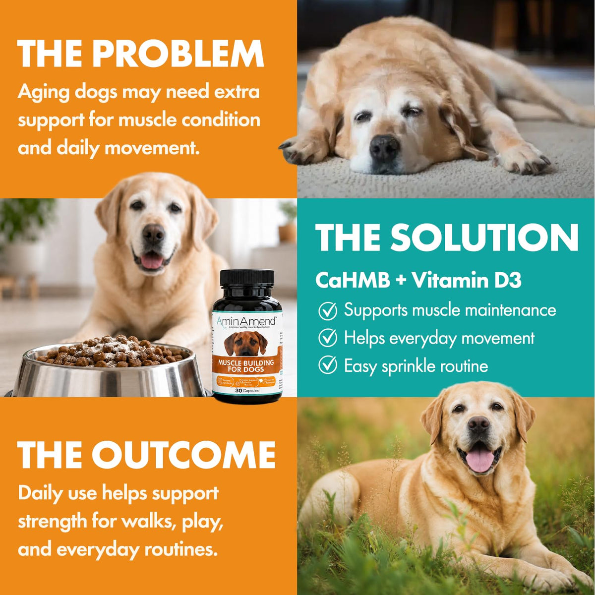 430 mg Muscle Support for Dogs, 30 Ct., 2-Pack N94549