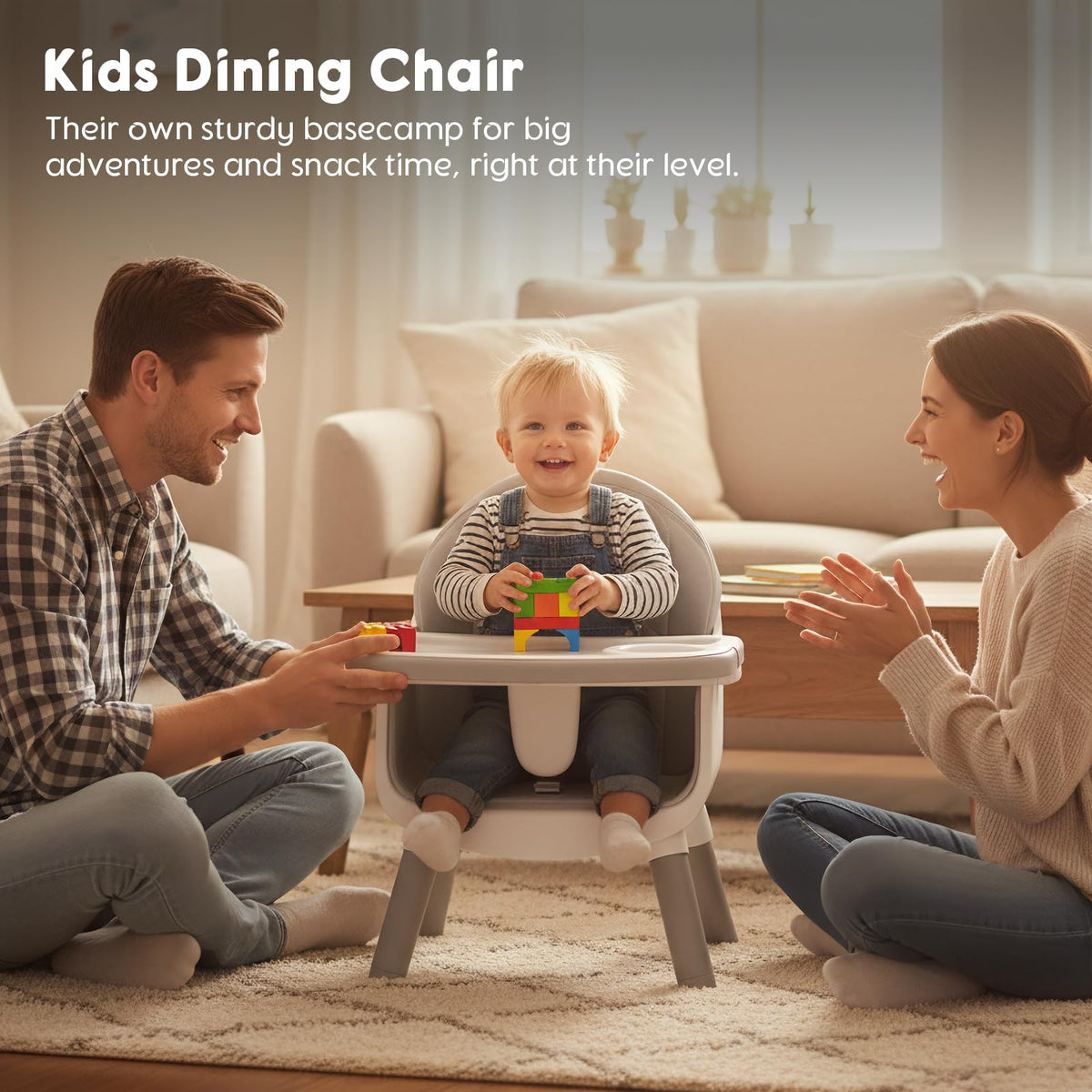 6 in 1 Baby High Chair D293