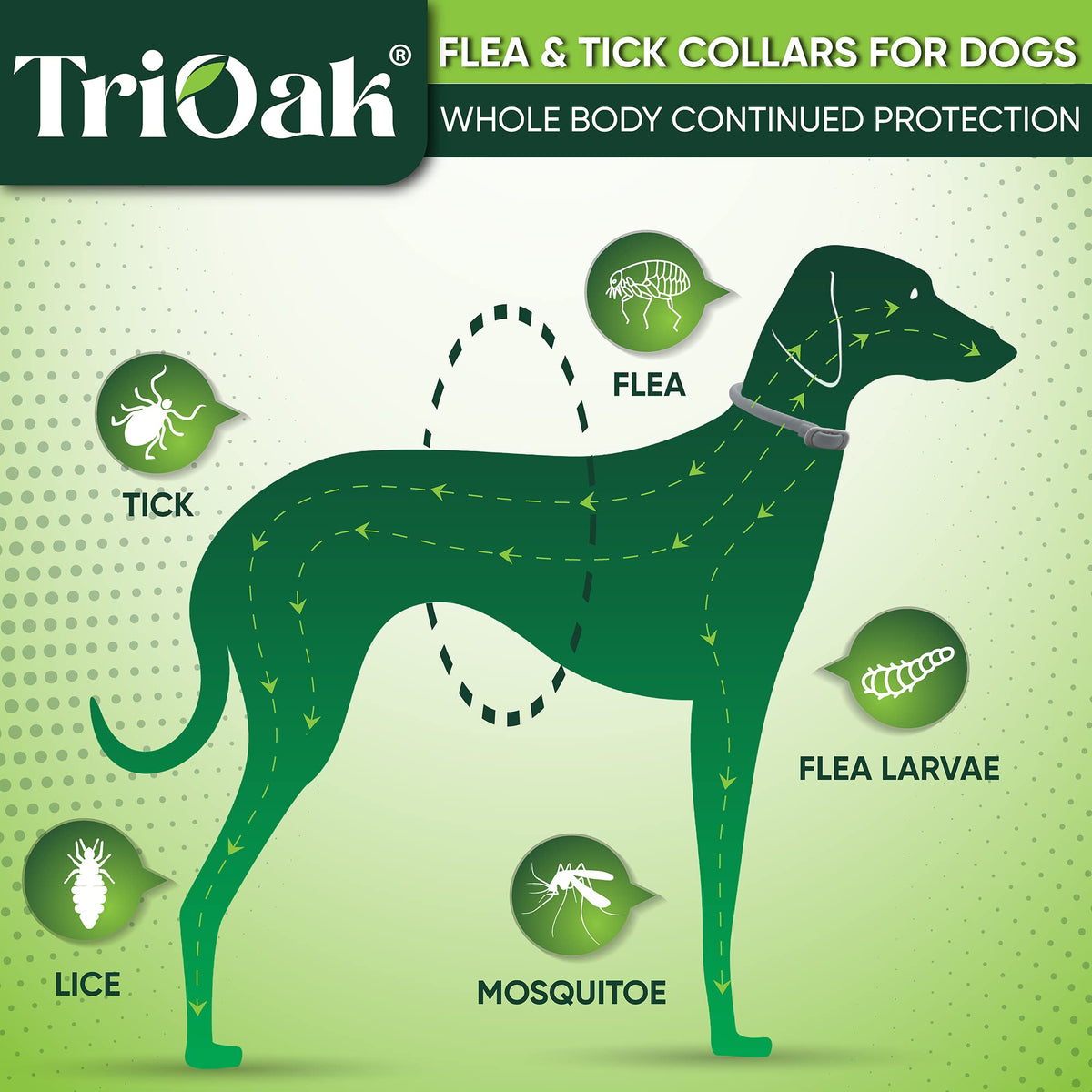 Adjustable Flea and Tick Prevention Dog Collar X138