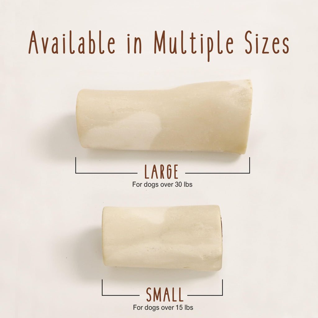 Peanut Butter Flavor Large Stuffed Shin Bones for Dogs G6278
