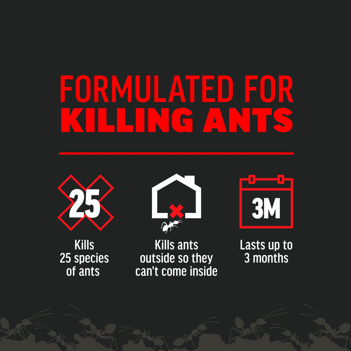 Ant Killer 12 Oz G9808