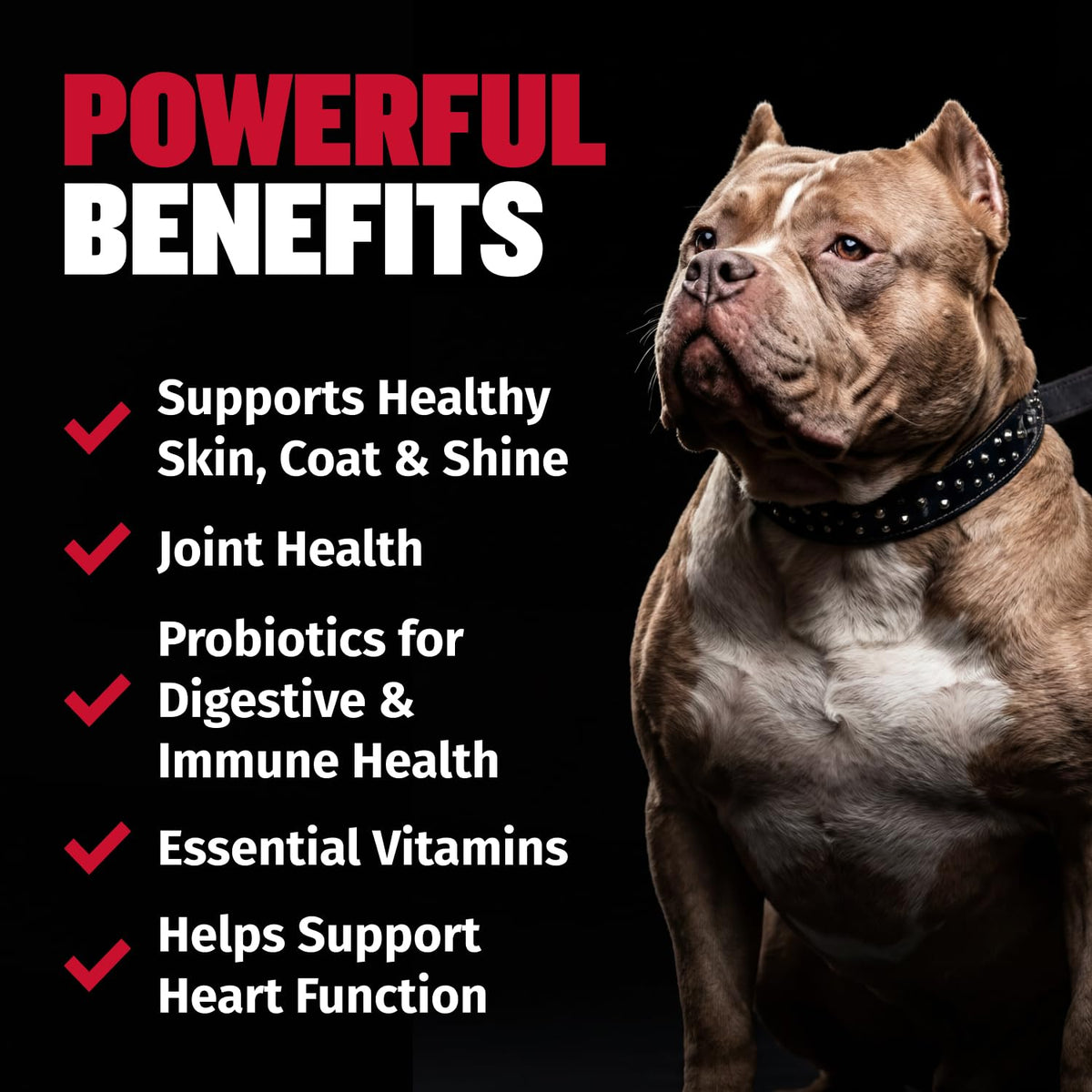 9-in-1 Dog Multivitamin 75 Soft Chews T186