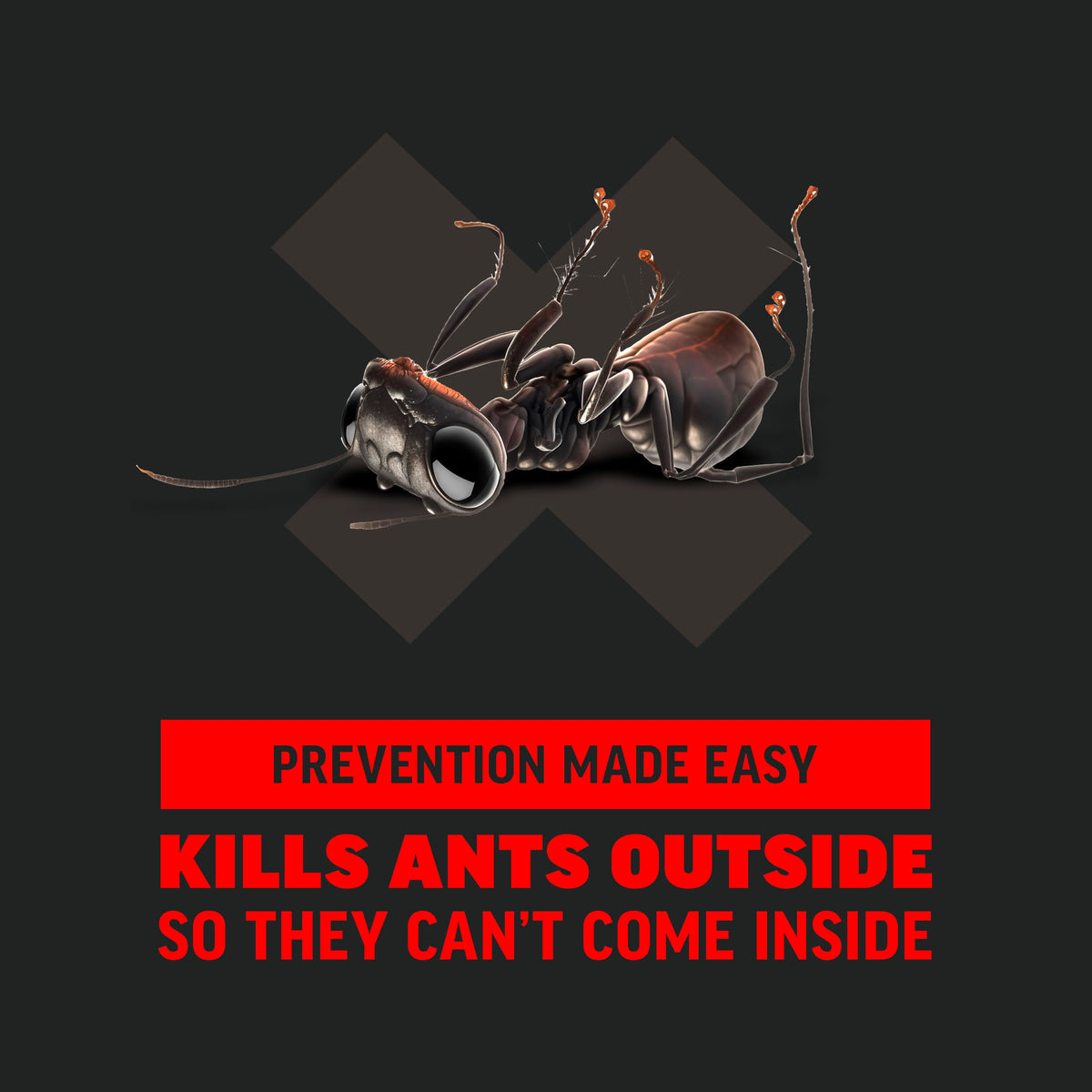 Ant Killer 12 Oz G9808