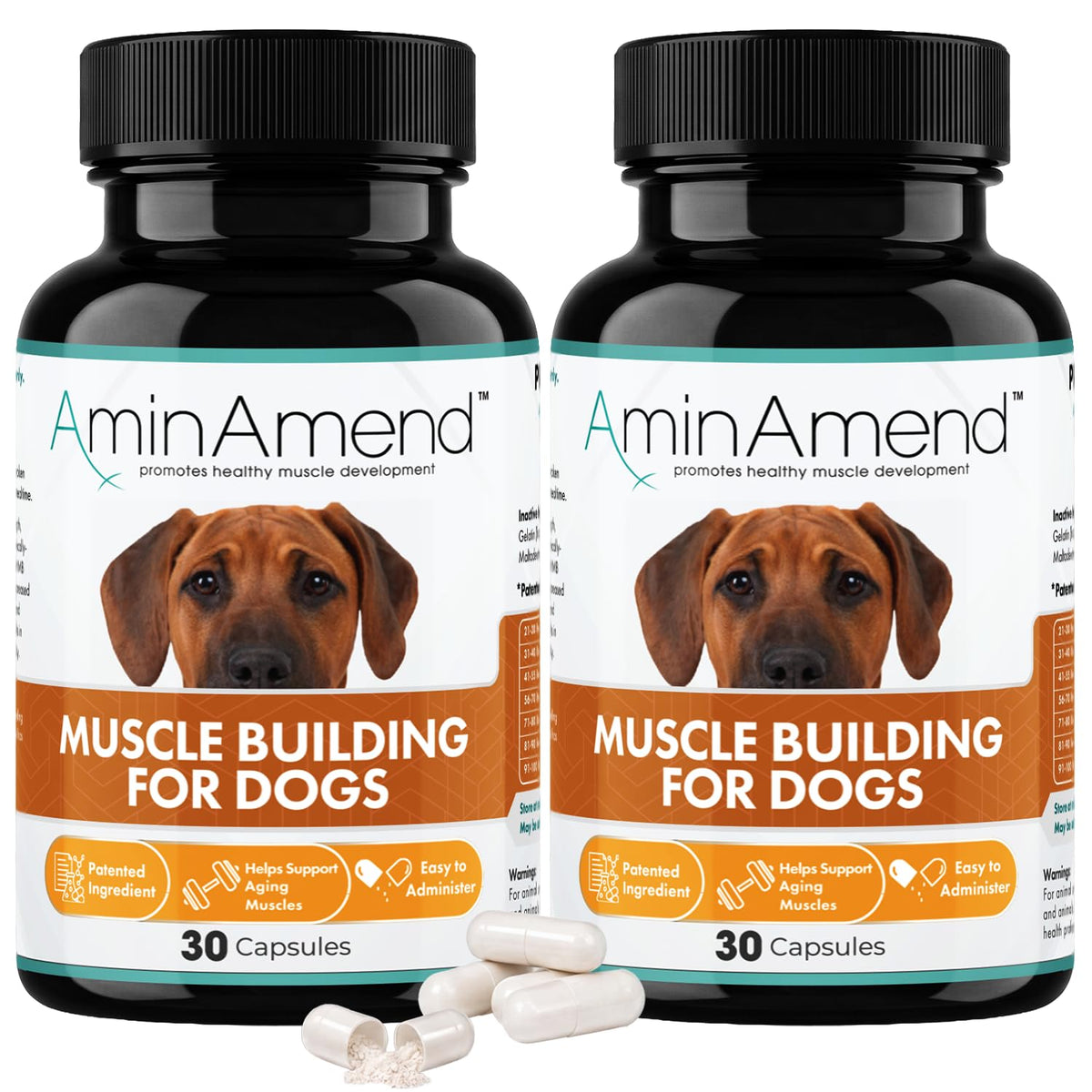 430 mg Muscle Support for Dogs, 30 Ct., 2-Pack N94549