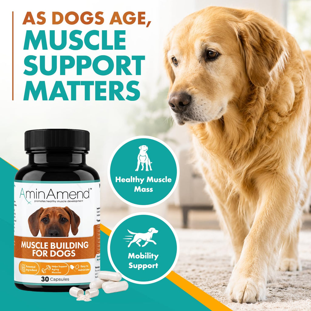 430 mg Muscle Support for Dogs, 30 Ct., 2-Pack N94549