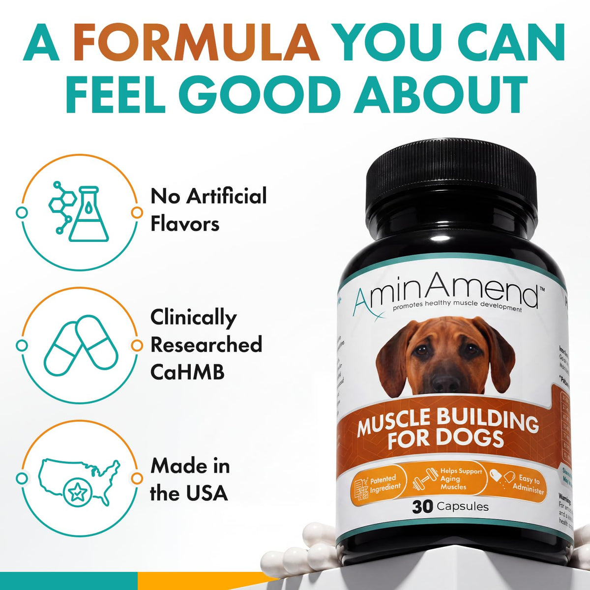 430 mg Muscle Support for Dogs, 30 Ct., 2-Pack N94549