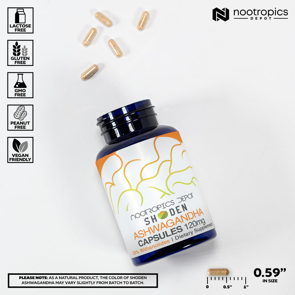 Ashwagandha Extract Capsules 120mg 30 Count I35255