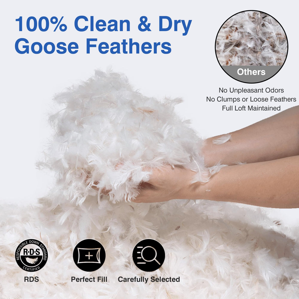Queen Size Set of 2 Feather Pillows A237