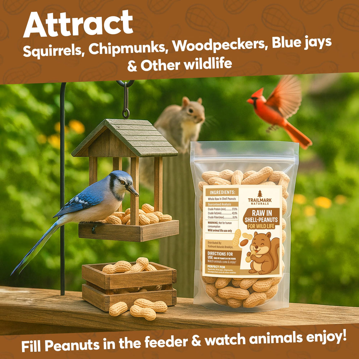 Raw Peanuts in Shell for Squirrels and Birds X17098