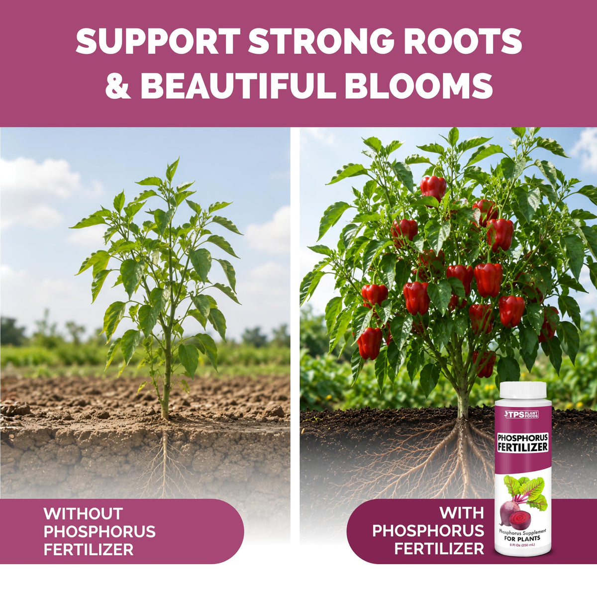 Liquid Phosphorus Fertilizer 32 oz S816595