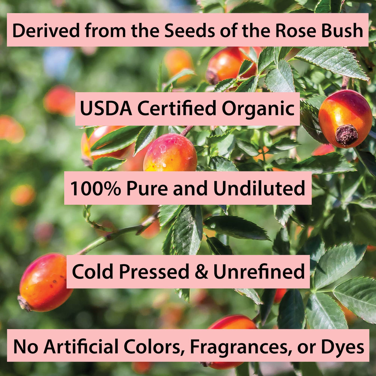 Cold Pressed Rosehip Seed Oil 1 Oz O8410