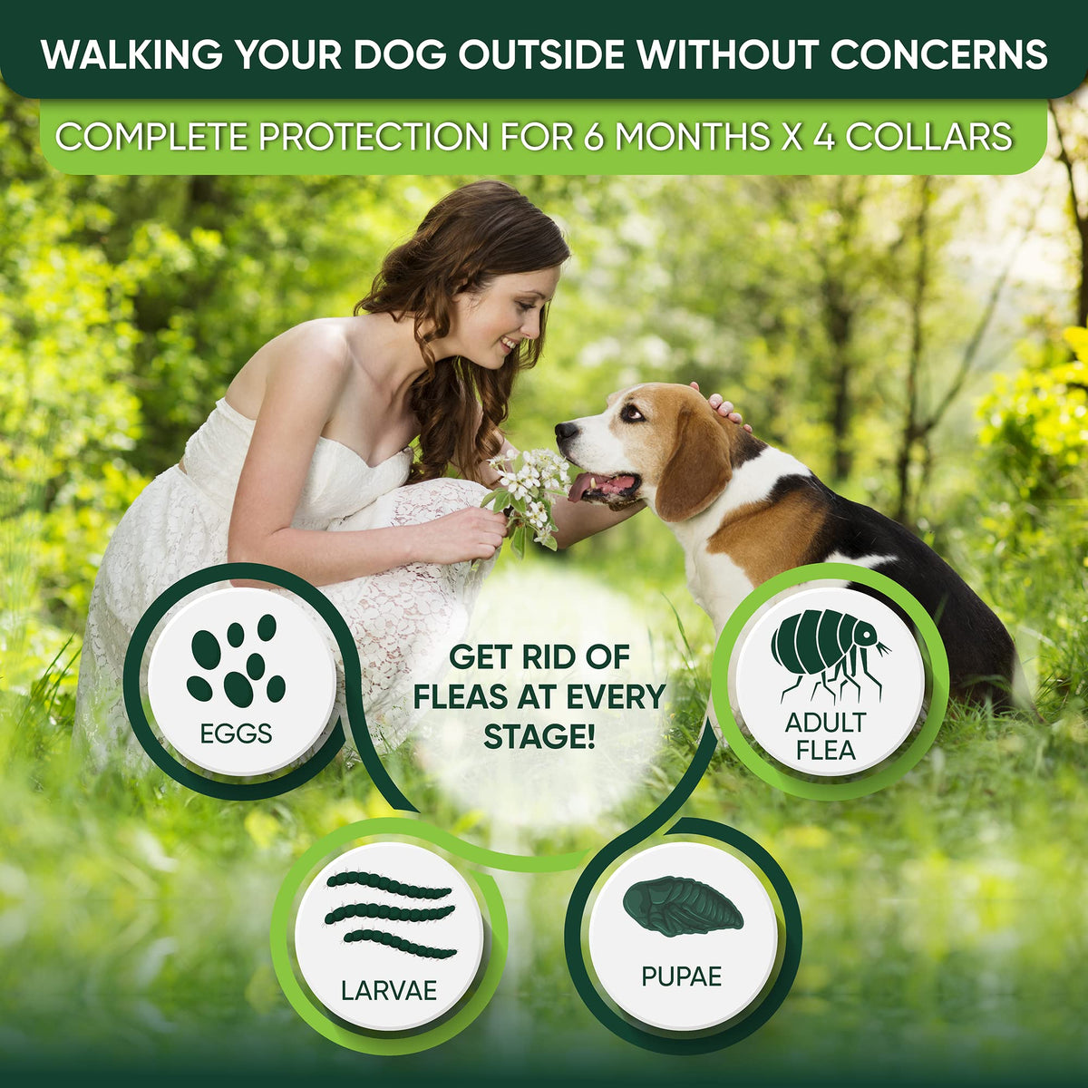 Adjustable Flea and Tick Prevention Dog Collar X138