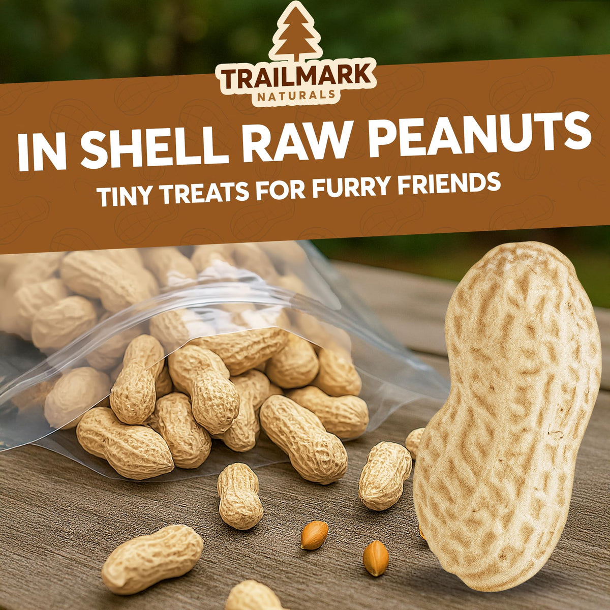 Raw Peanuts in Shell for Squirrels and Birds X17098