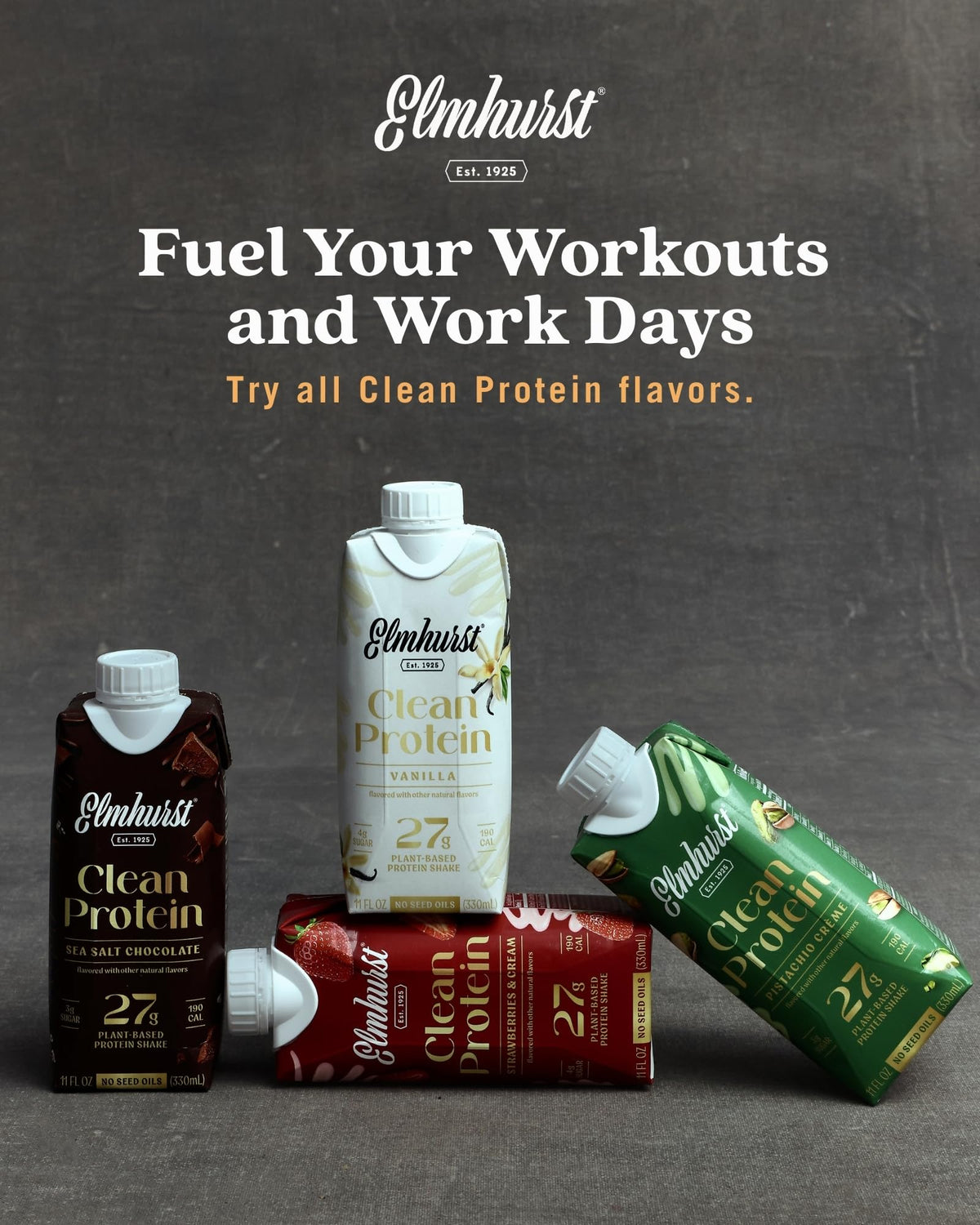 Sea Salt Chocolate Vegan Protein Shakes 11 Ounce 12-Pack Y58333