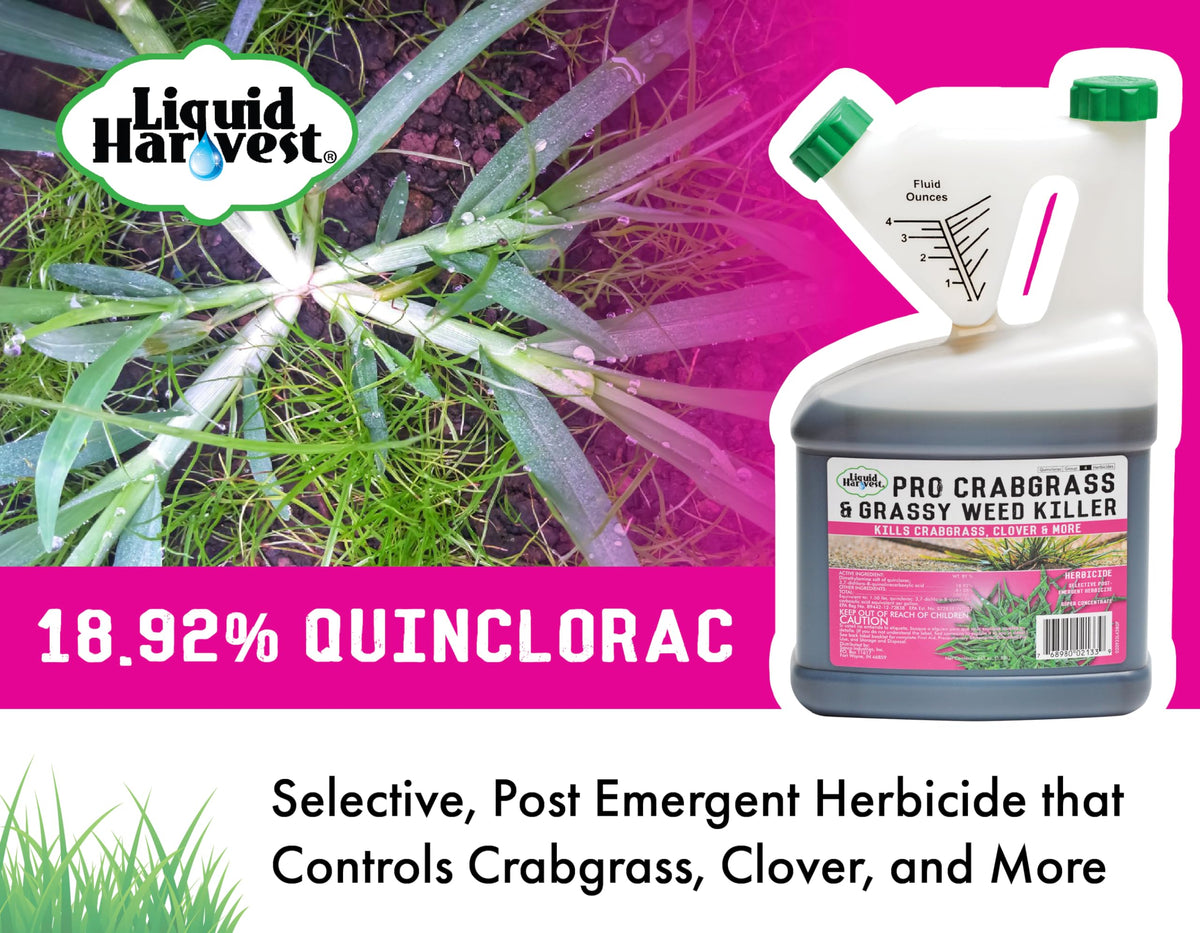 Crabgrass & Grassy Weed Killer 64 Ounces Quinclorac S798