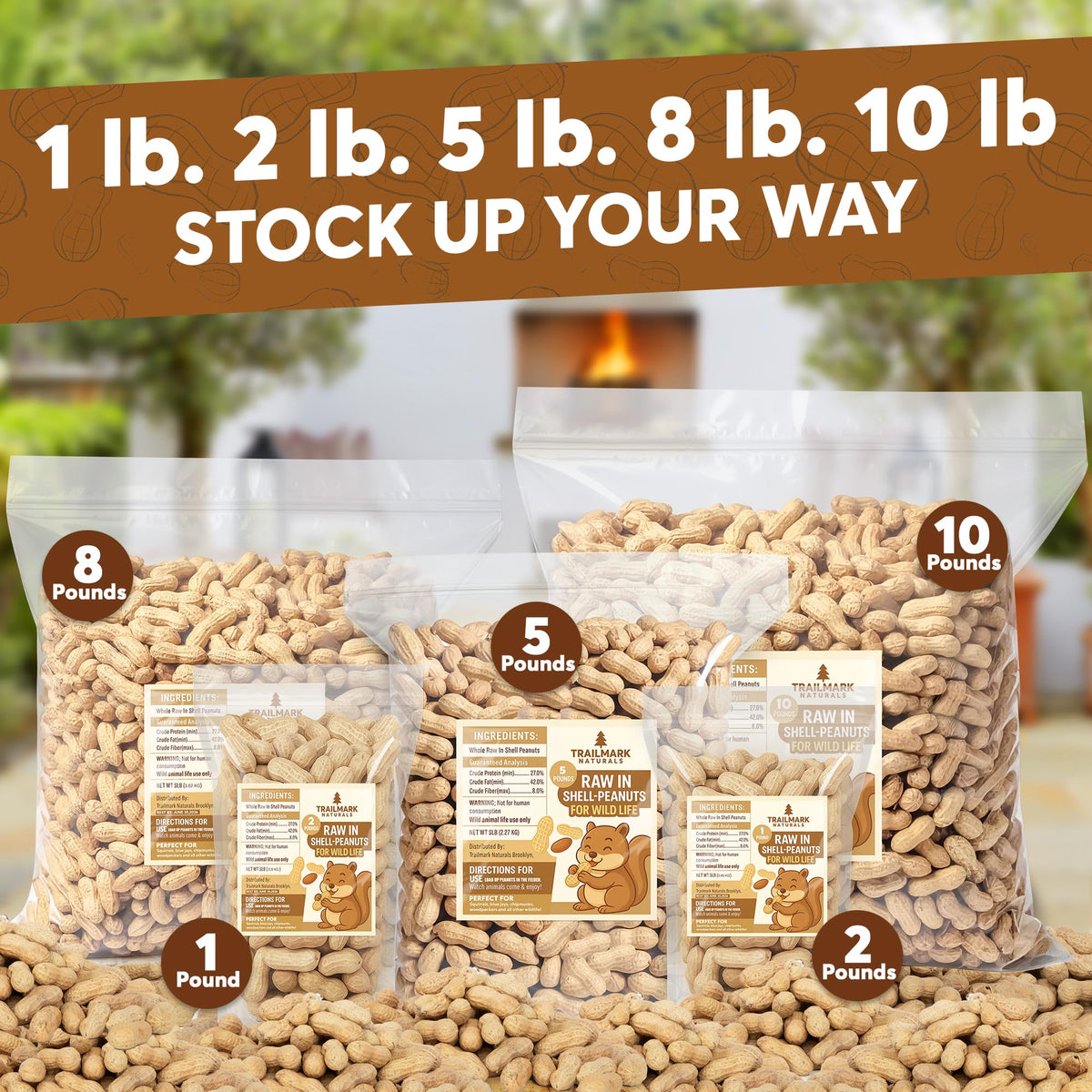 Raw Peanuts in Shell for Squirrels and Birds X17098